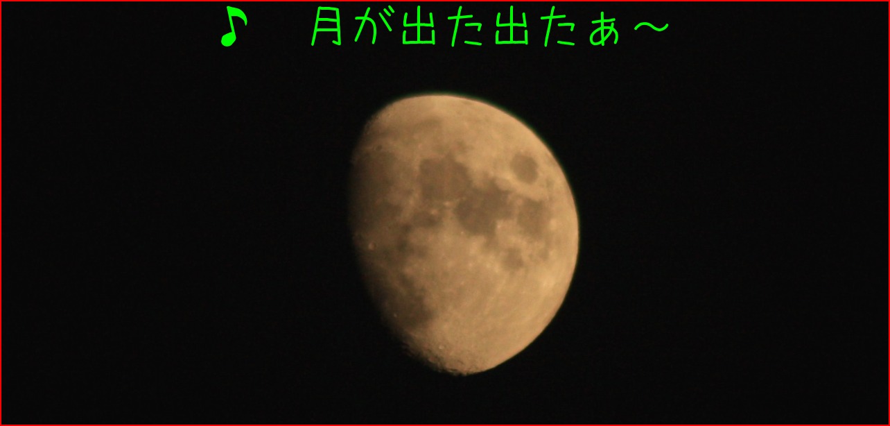 e0098130_1946629.jpg