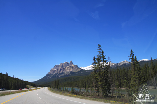c0211532_1253385.jpg