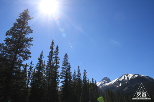 c0211532_133453.jpg