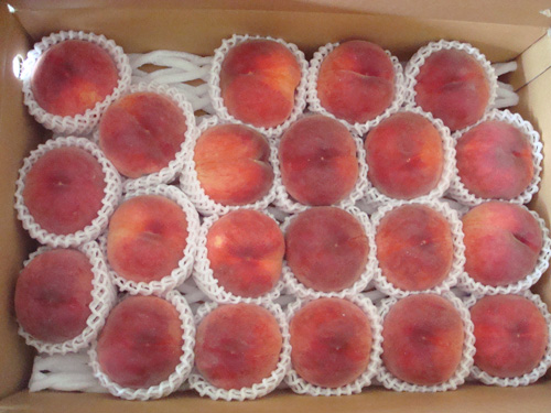 夏の贈り物_e0131432_10482045.jpg