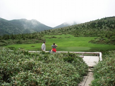 d0055236_2032967.jpg