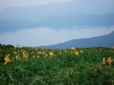 d0055236_21122298.jpg