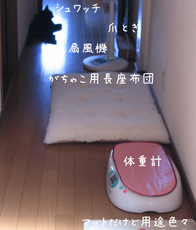 現在の我が家_a0166338_1226486.gif