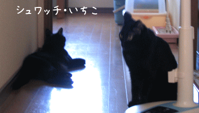 a0166338_12282284.gif