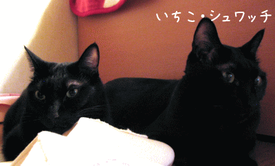 a0166338_12454442.gif