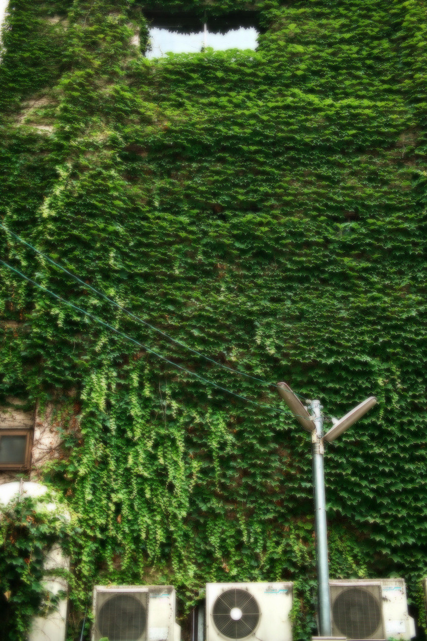 c0223038_645142.jpg