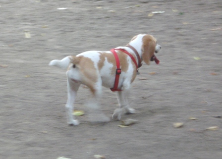 a0166650_8243123.jpg