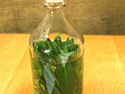 ☆生葉の月桂樹でパン・マフィン・お酒・オイル漬け☆_c0092953_4273993.jpg