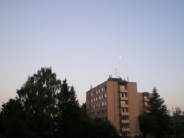b0175255_21522.jpg