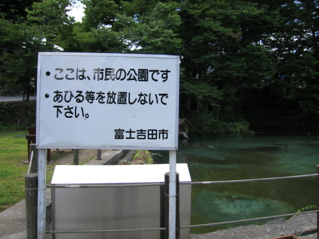 d0173959_1931828.jpg