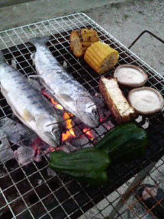 魚・恐竜・BBQ　そして花火・・・_e0137660_6335781.jpg