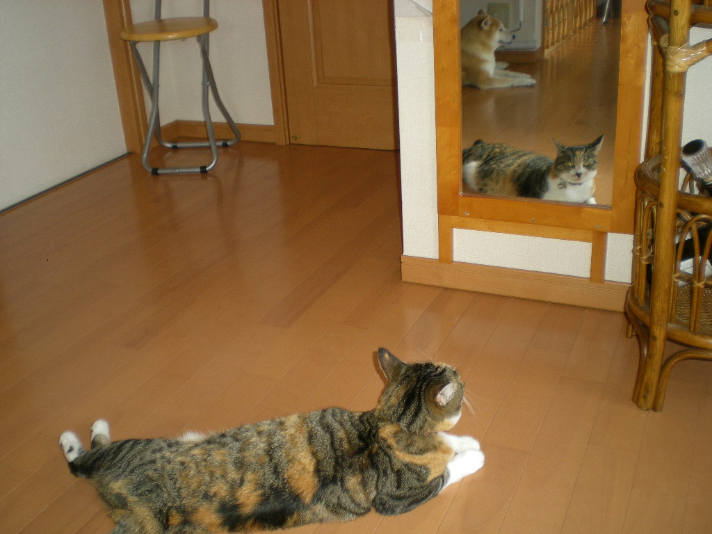 2010年7月21日(水)海の絵が出来たよ!_f0060461_9444948.jpg