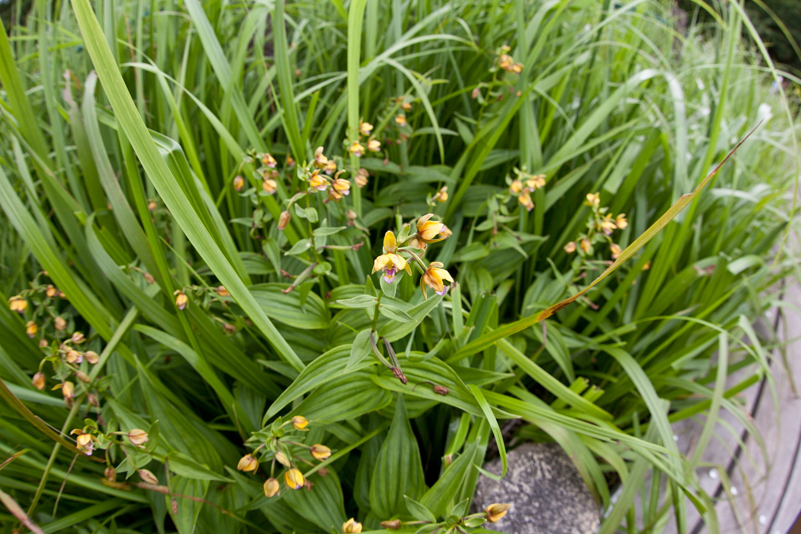 e0015567_2223733.jpg