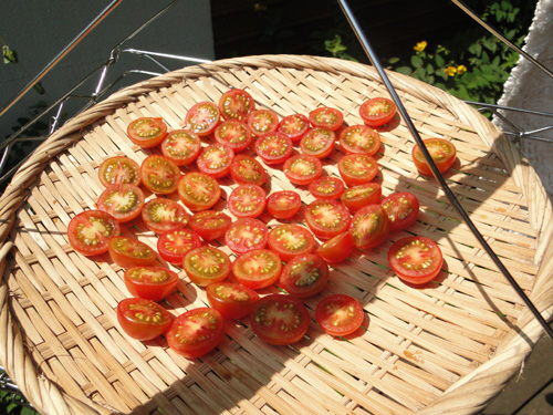 今年も干し野菜作ります。ミニトマト編。_b0138369_15464360.jpg