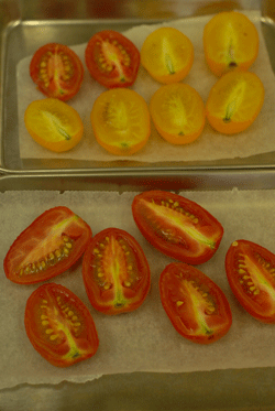 b0173176_187439.gif