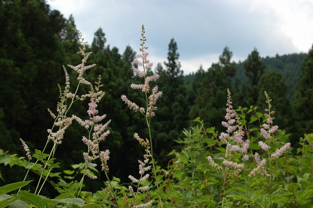 c0212083_12491.jpg