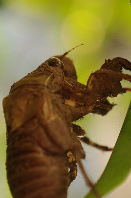 c0152288_544956.jpg