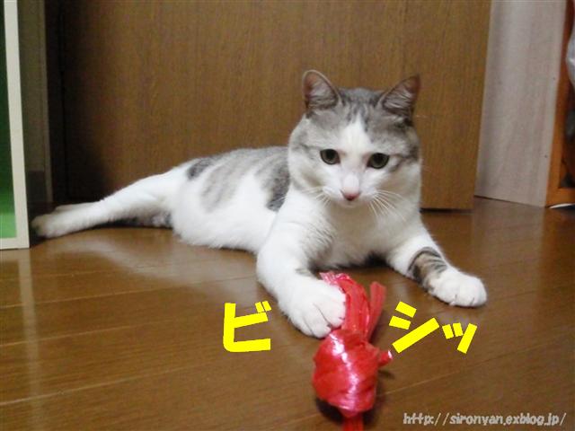 a0159490_1131318.jpg
