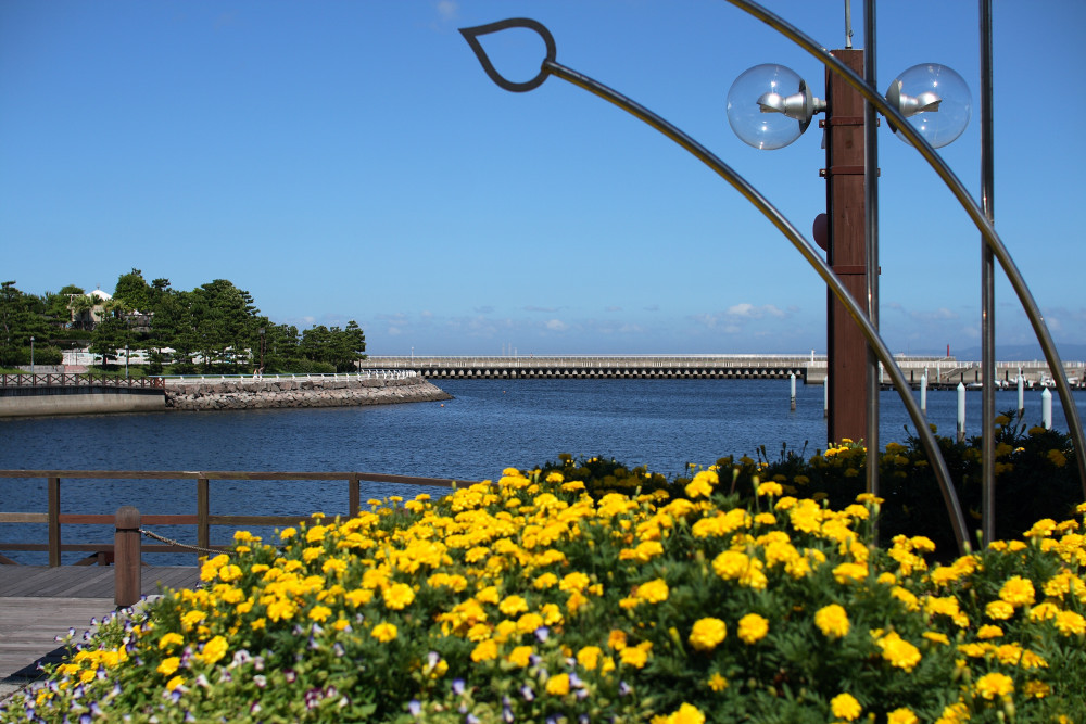c0040891_1720130.jpg