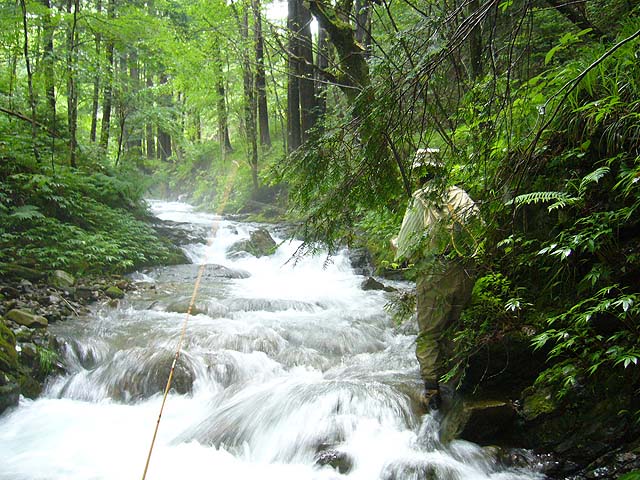 b0034897_22182045.jpg
