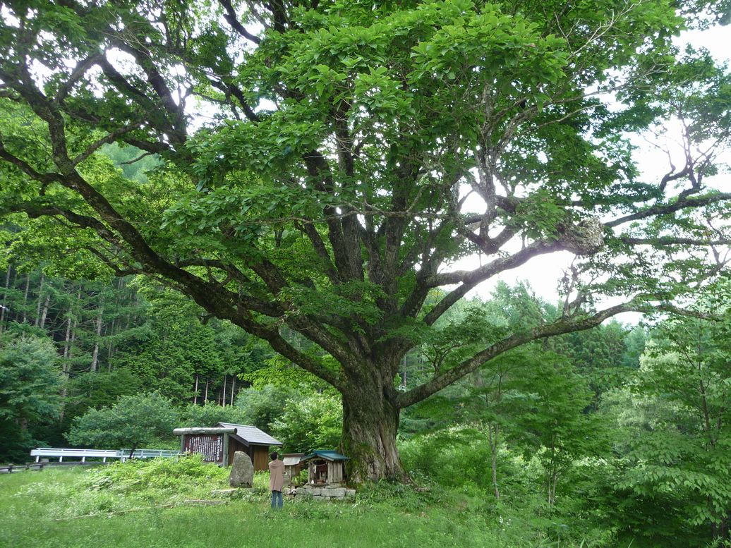 d0063599_6344916.jpg