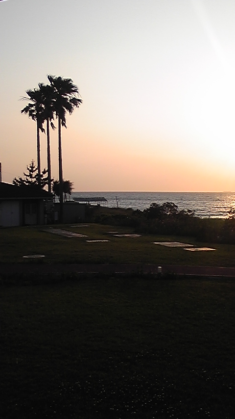 d0087101_2025729.jpg