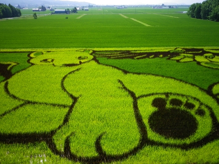 北海道ガーデン④　その他_f0065604_22124993.jpg