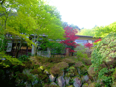 a0071805_1952582.gif