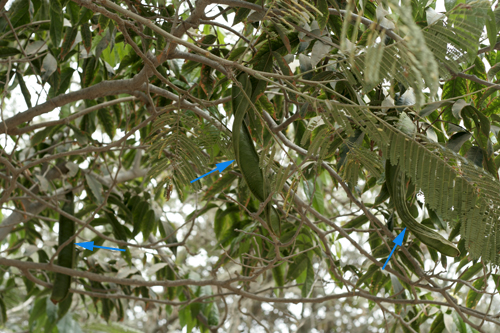 c0128605_5452355.jpg