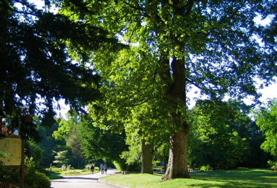 d0135907_7572223.jpg