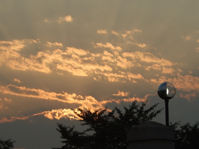 b0165522_13321167.jpg