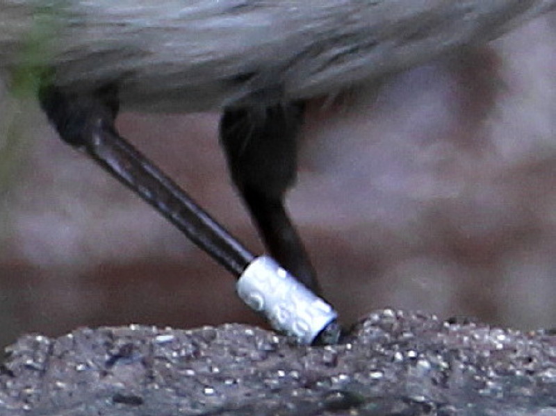 b0179023_2010925.jpg