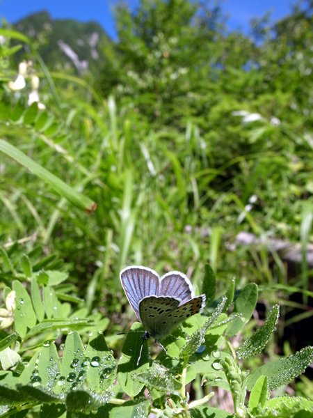 d0054625_2303156.jpg