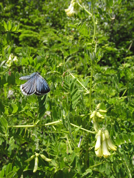 d0054625_2311435.jpg