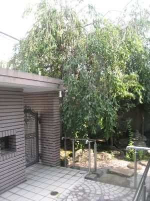 f0155431_2156676.jpg