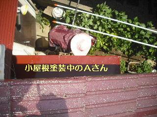 セメント瓦塗装工事_f0031037_21101059.jpg