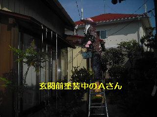 セメント瓦塗装工事_f0031037_21102144.jpg