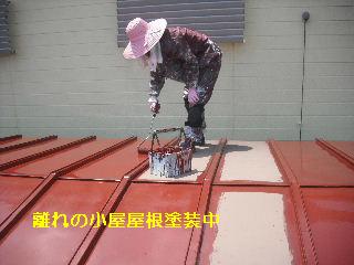 セメント瓦塗装工事_f0031037_2110362.jpg