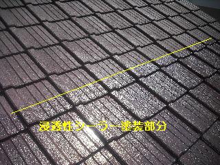 セメント瓦塗装工事_f0031037_2111207.jpg