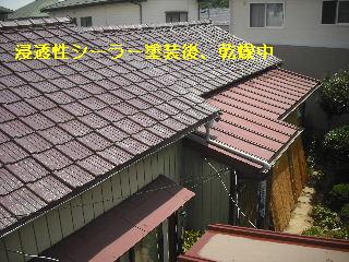セメント瓦塗装工事_f0031037_2111526.jpg