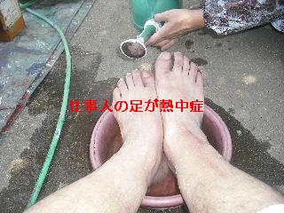 セメント瓦塗装工事_f0031037_21123160.jpg