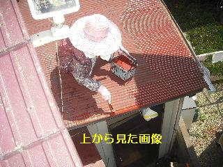 セメント瓦塗装工事_f0031037_2193089.jpg