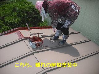 セメント瓦塗装工事_f0031037_2194517.jpg