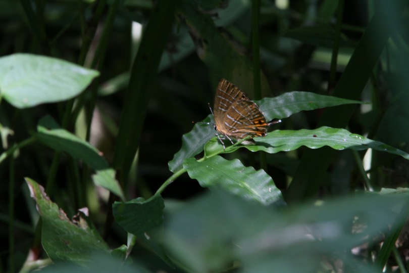 c0172139_02142.jpg