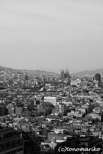 上からバルセロナ観光_c0024345_1721967.jpg