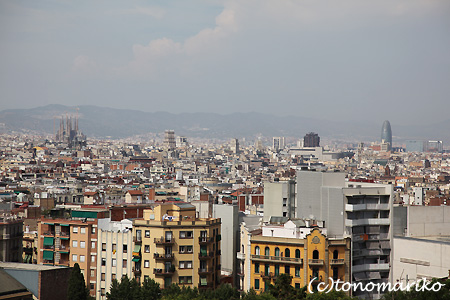 上からバルセロナ観光_c0024345_1751926.jpg