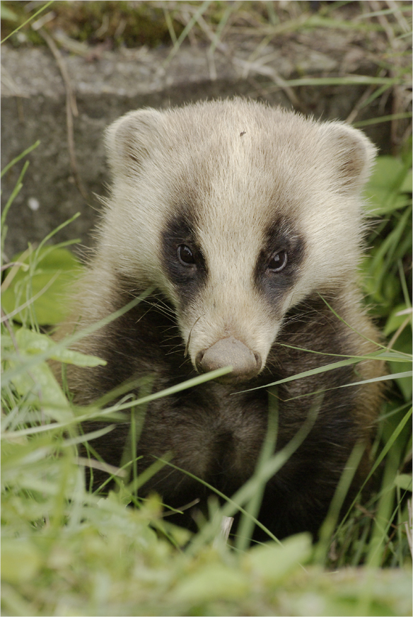 ■■チョウの楽園そして動物■■_a0133250_18515922.jpg