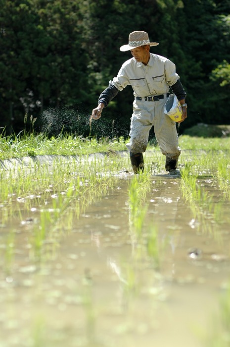 棚田の田植え　３_f0032753_20405262.jpg