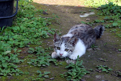 お久しぶり・・でもないか(^_^;)_c0016056_5591138.jpg