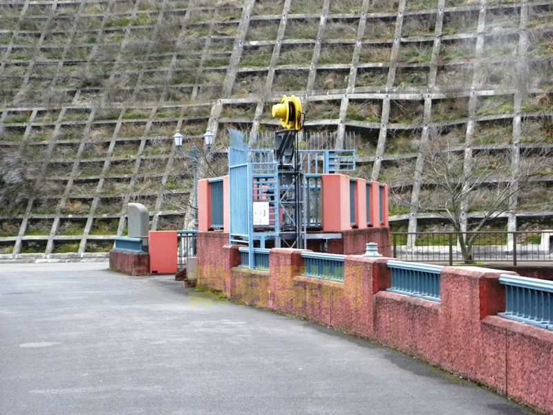 新滝の池（大阪府泉佐野市上之郷）　2010年2月9日_e0178757_22494287.jpg